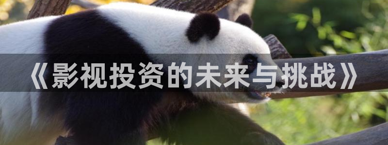 奇米在线 视频
