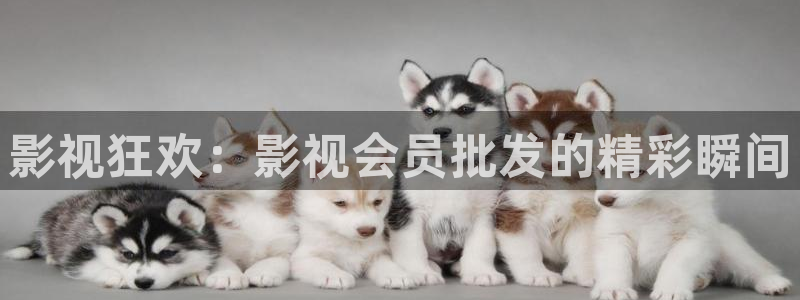 奇米在线观看视频地址一