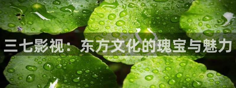 奇米在线视频8888